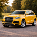 Q7 3.0L TDI (2009-2012) -TZ