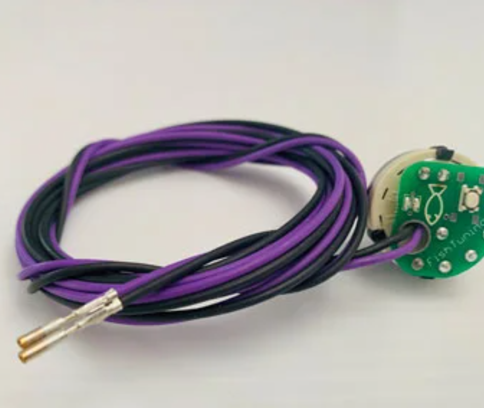 DSP Switch